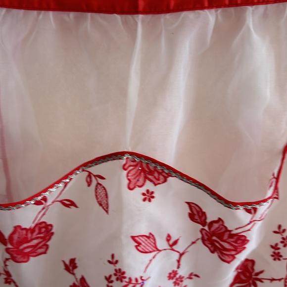 VINTAGE Handmade sheer apron with 20”ties. Floral stitched with sparkly sequins. - Picture 2 of 5